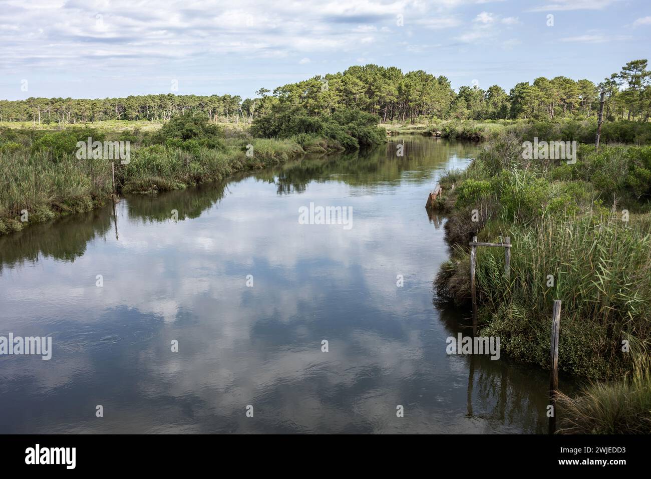 Ares (south-western France): Salt Marshes National Nature Reserve of Ares and Lege-Cap-Ferret Stock Photo