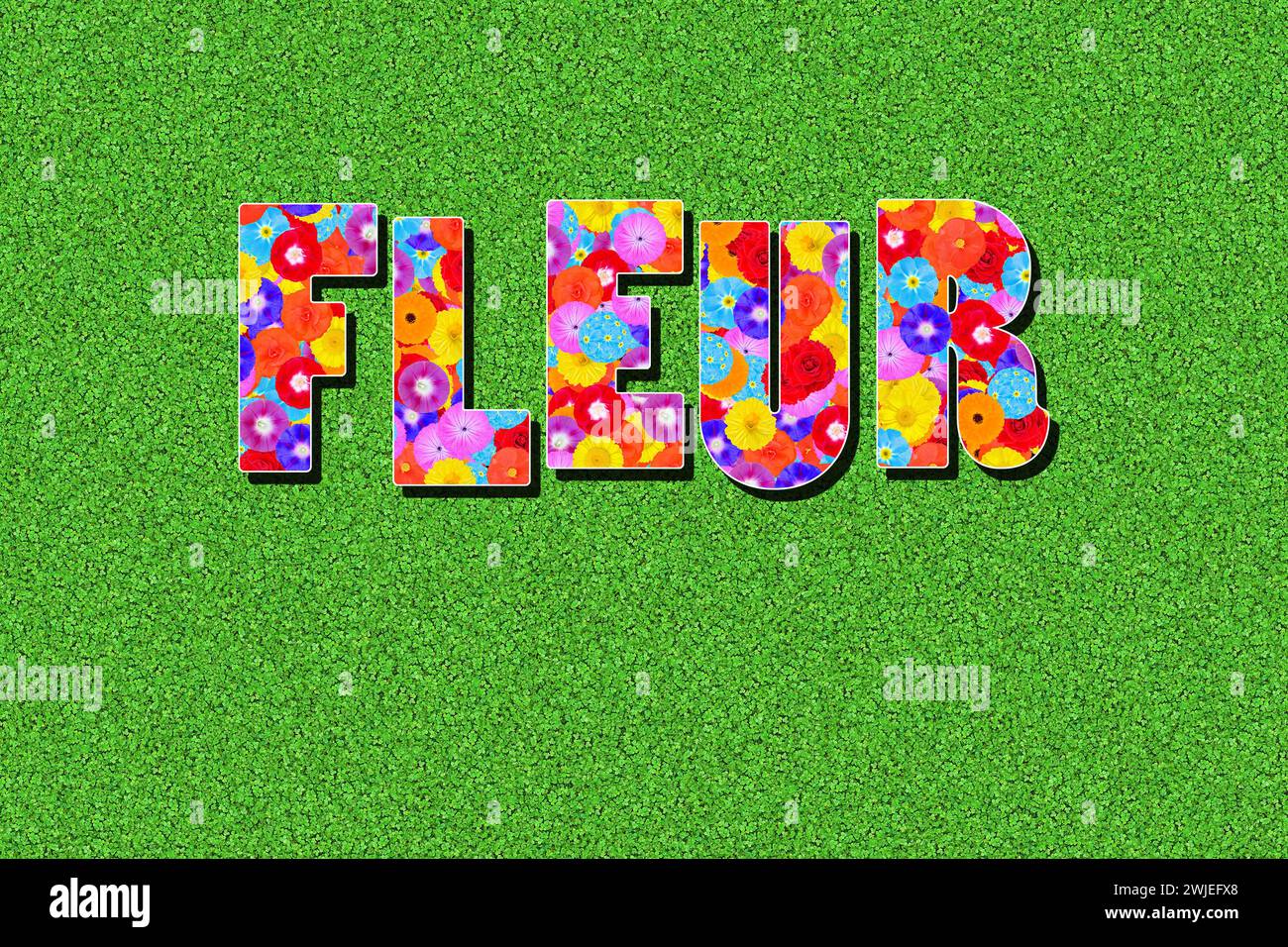 french word fleur, flower, written with flowers Stock Photo - Alamy