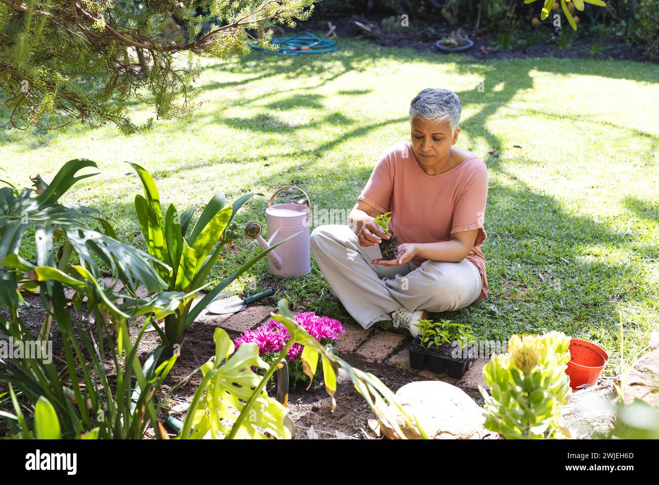 A mature biracial woman gardening at home, with copy space Stock Photo
