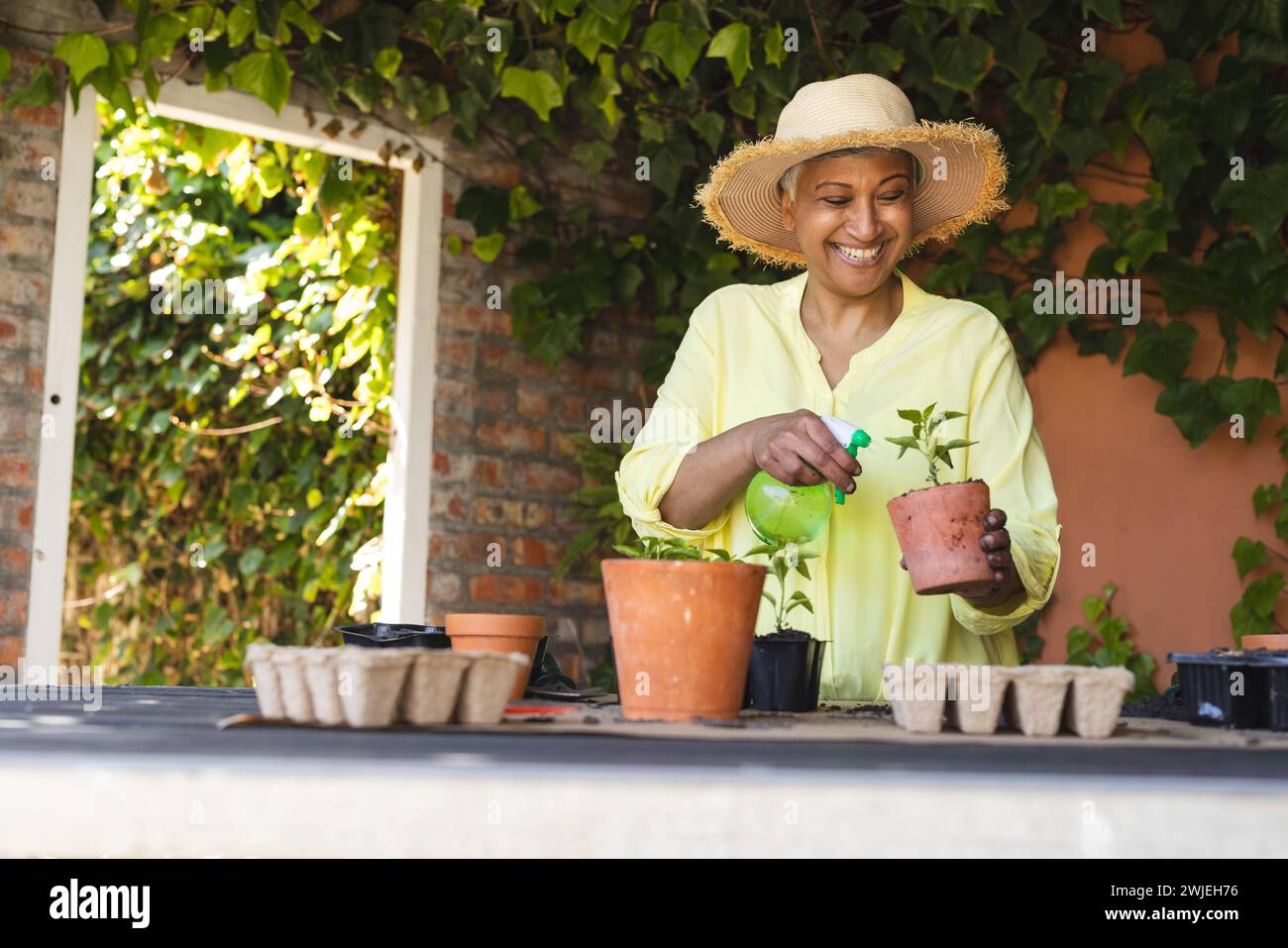 A mature biracial woman tends to plants in her home garden with copy space Stock Photo