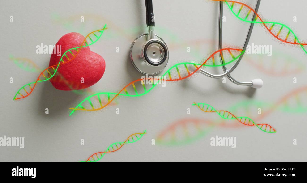 Image of dna strands over heart and stethoscope Stock Photo - Alamy