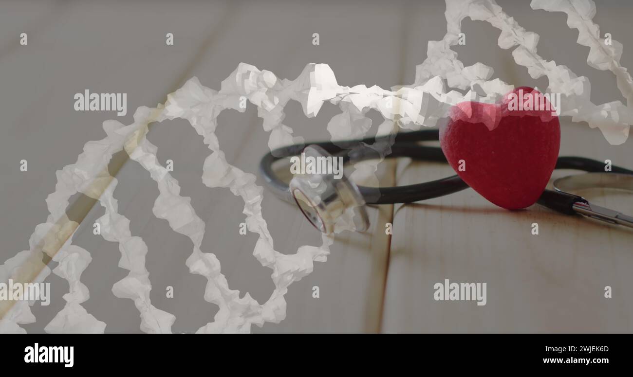 Image of dna strand over heart and stethoscope Stock Photo - Alamy