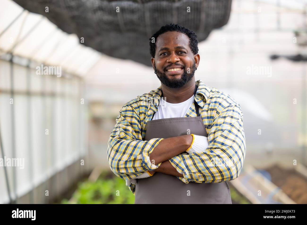 happy african male farmer worker standing portrait in greenhouse farm agriculture small business owner Stock Photo