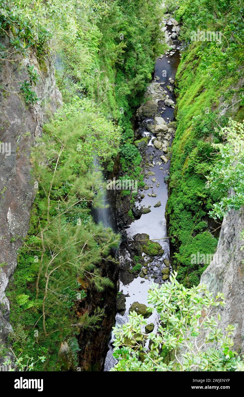 Reunion (Reunion Island), caldera ”cirque de Mafate”, La Possession: the Bras Bemale river in the middle of the vegetation on the hiking trail between Stock Photo