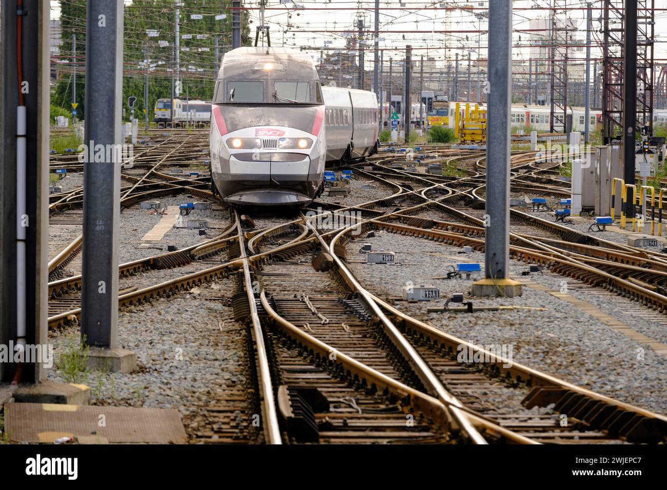 Belgium, Brussels: Brussels-South railway station. TGV Inoui high-speed train entering the station Stock Photo