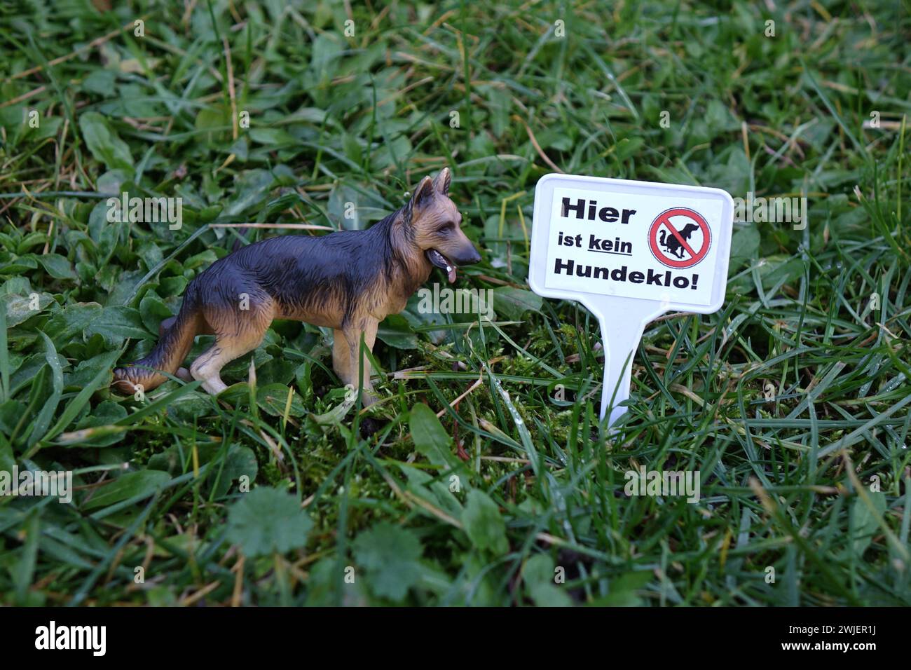 kleines Hundeverbotsschild im Gras mit Hundemodell kleines