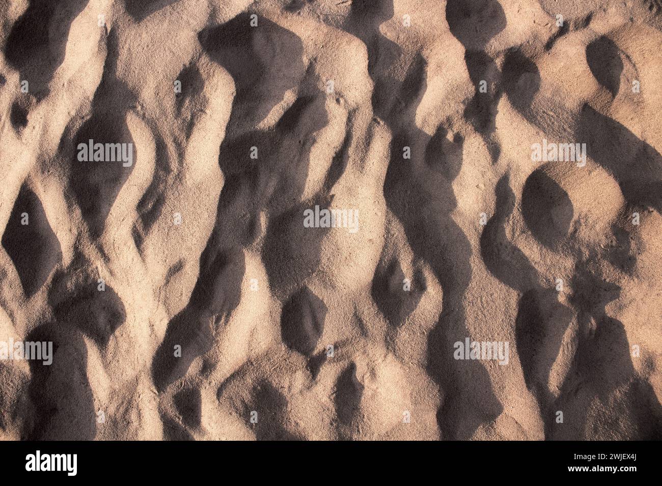 Sand texture. Beach background. Top view. Copy space Stock Photo