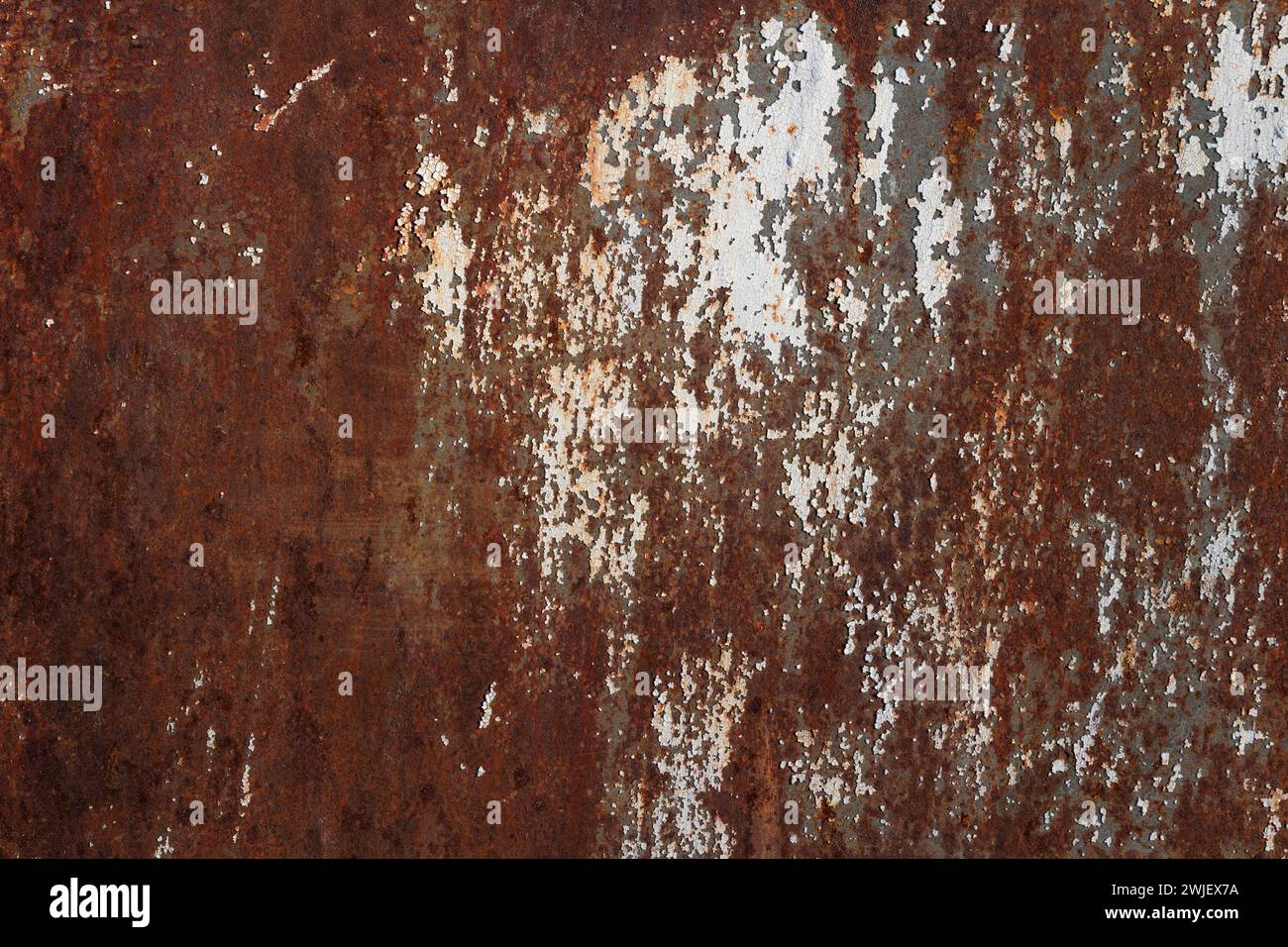 Texture of rusty old metal plate with cracked white paint Stock Photo ...