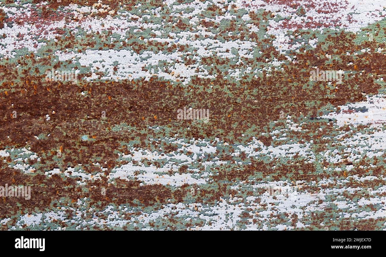 Texture of rusty old metal plate with cracked white and green paint ...
