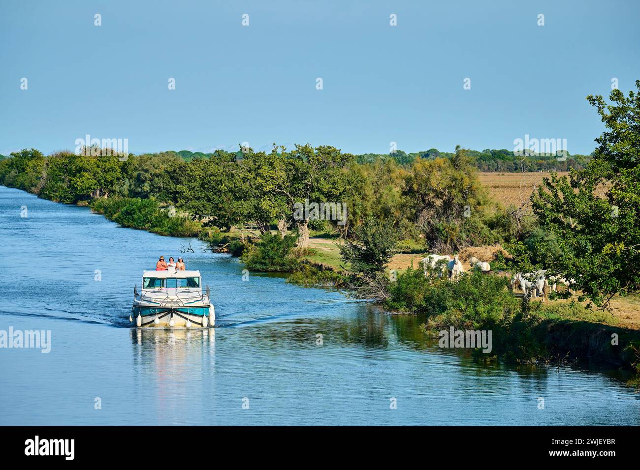 Nicols rental boat hi-res stock photography and images - Alamy