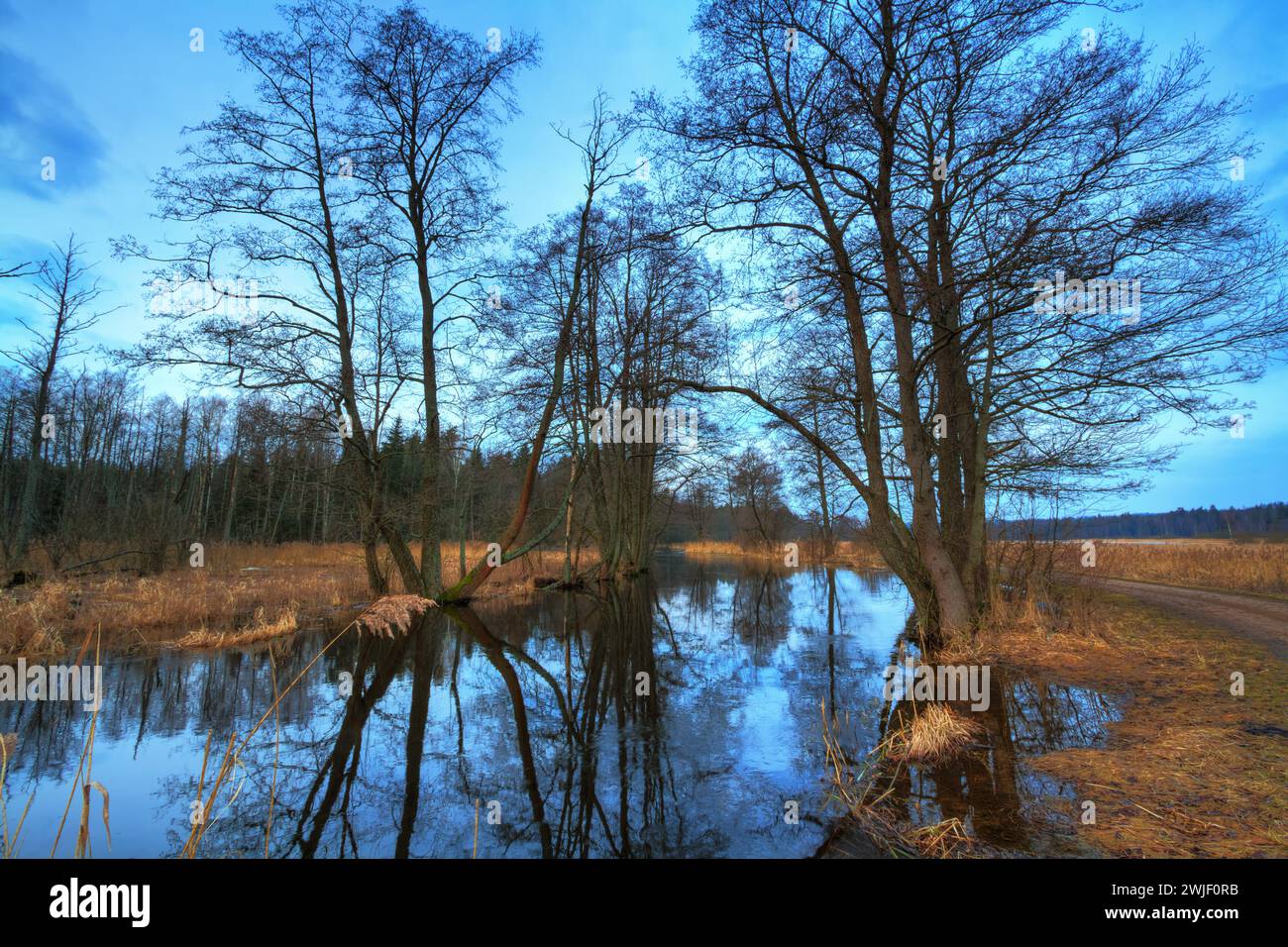 Winter landscape, amazing sundown in winter , Poland Europe, river valley Knyszyn Primeval Forest Stock Photo