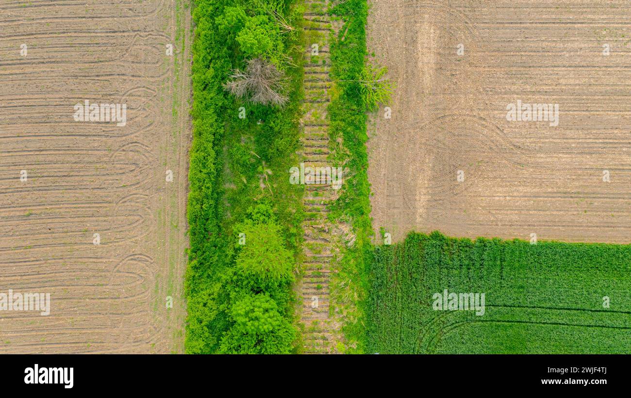 Above top view over lined trails in ground of dismantled old sleepers, from removed railway, overgrown by grass and vegetation among agricultural fiel Stock Photo