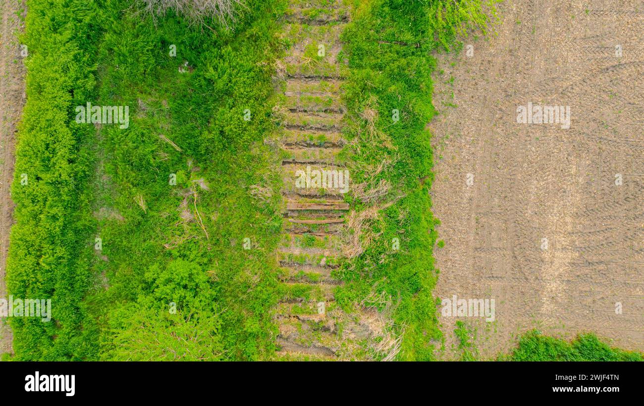 Above top view over lined trails in ground of dismantled old sleepers, from removed railway, overgrown by grass and vegetation among agricultural fiel Stock Photo