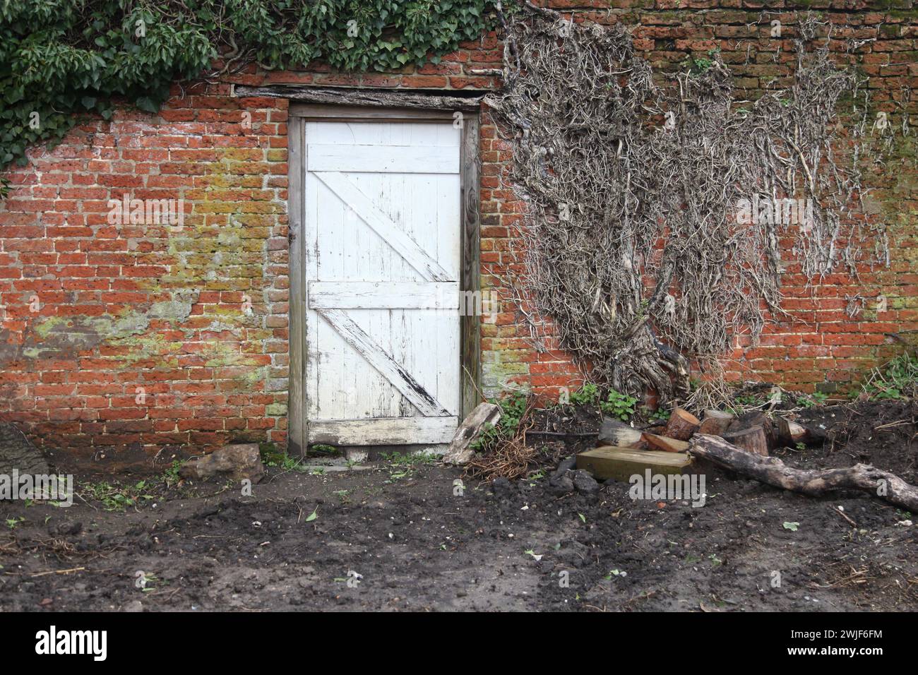 An old wooden door in a walled garden at West Horsley Place (Button House), Surrey, England, UK