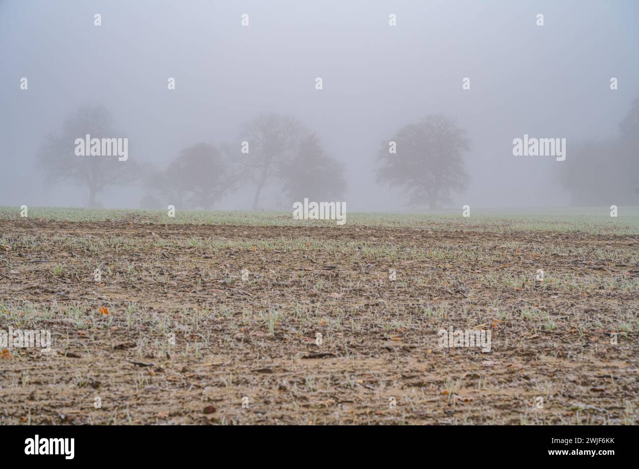Ploughed field frost field hi-res stock photography and images - Alamy