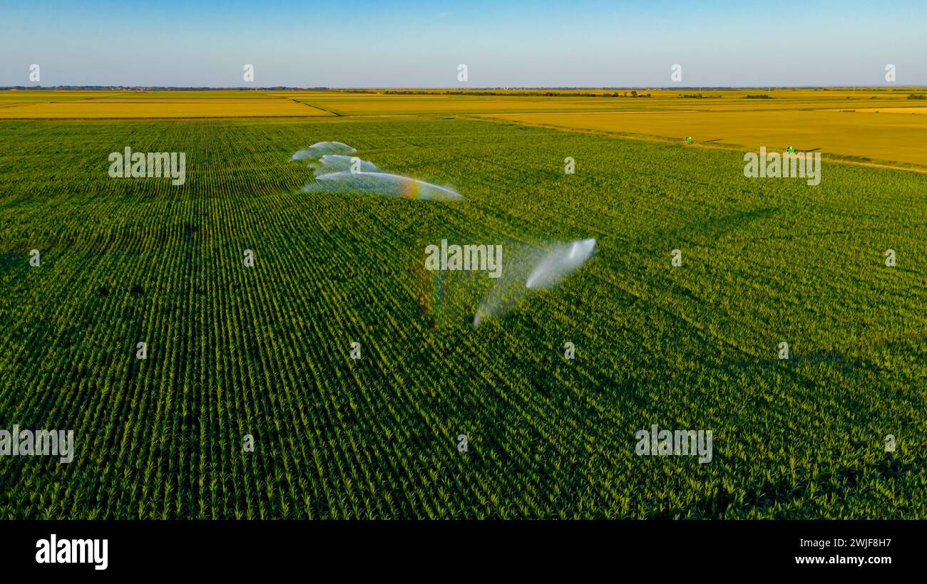 Above view of irrigation system, water jet rain guns sprinklers, on