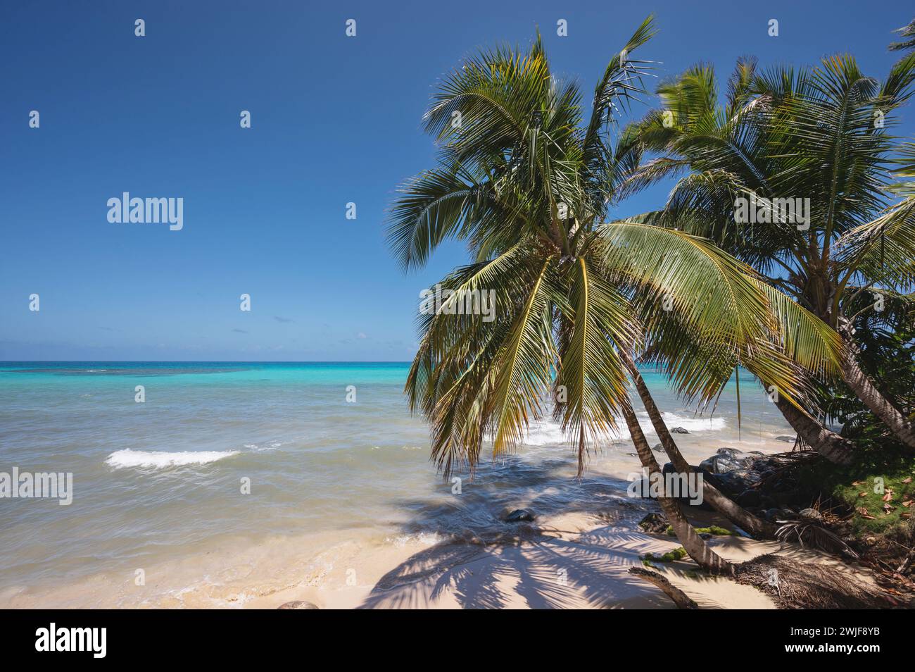 Blue sea tropical background. Going to paradise palce in Caribbean Stock Photo