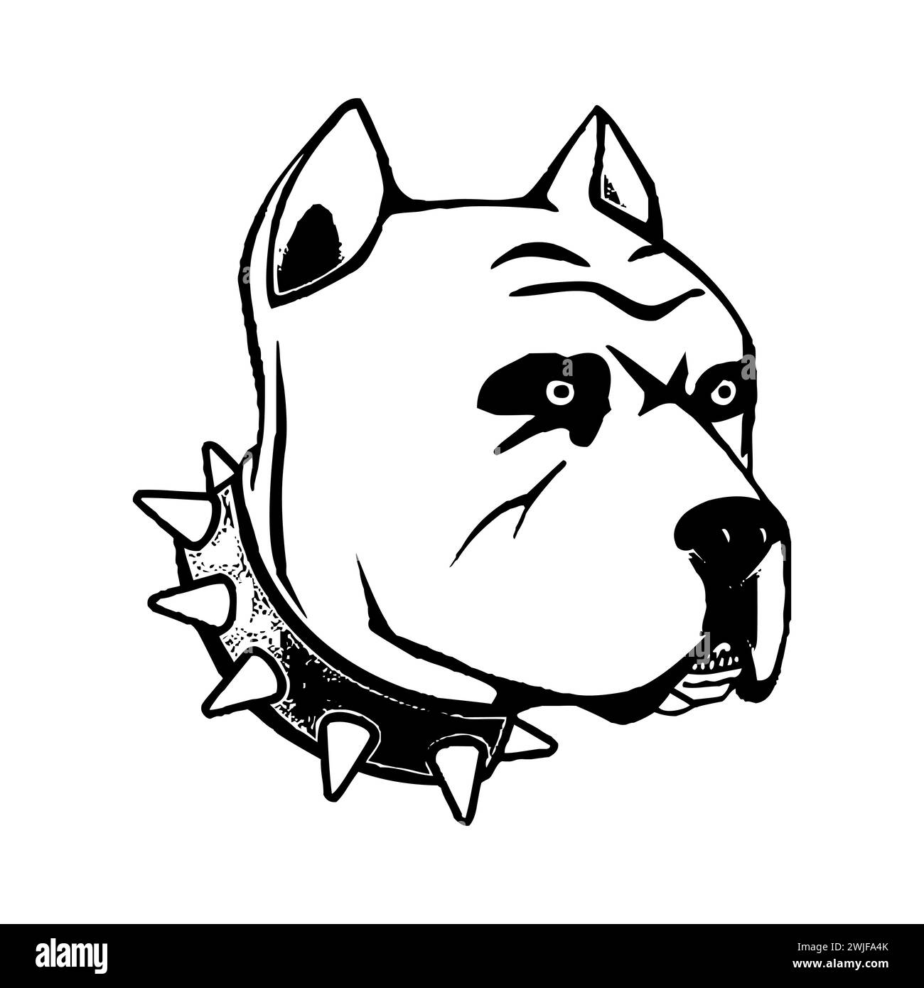 Black And White Pitbull Dog Face With Collar Drawing Stock Vector