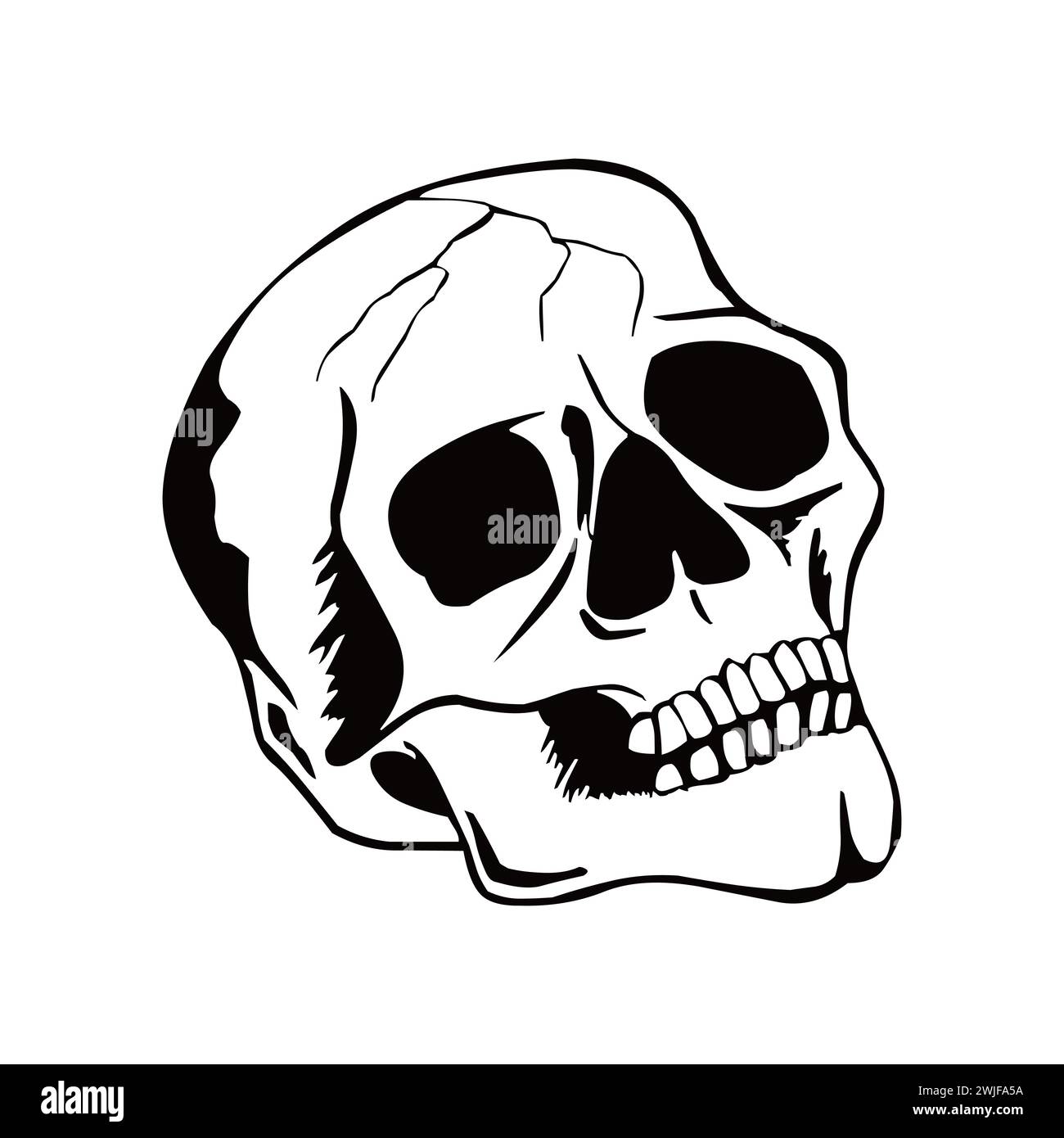 Black And White Human Cracked Skull Illustration Stock Vector