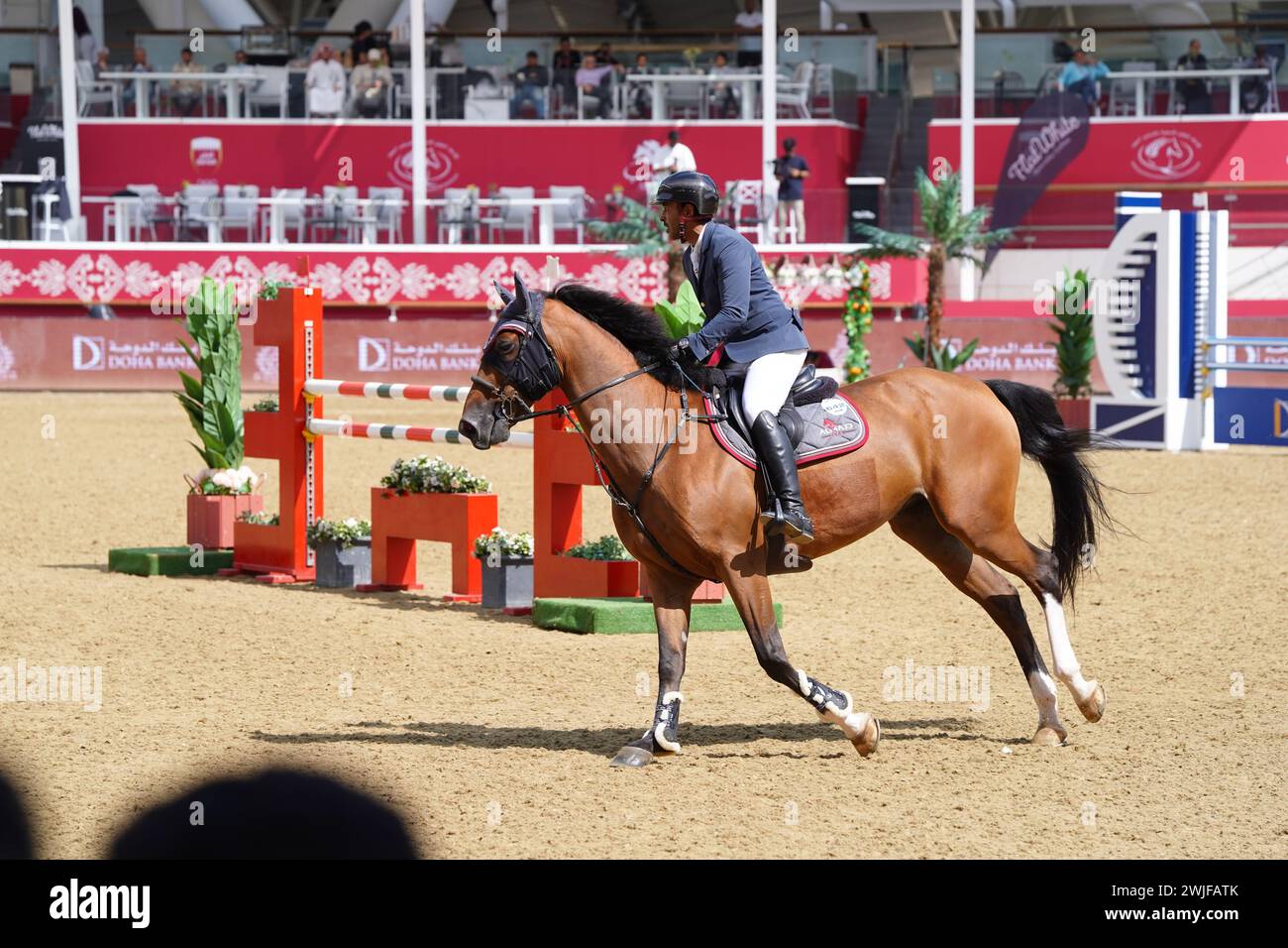 Fand and action at the H H The Amir Sword International Equestrian Festival kicks off at Longines Al Shaqab Outdoor in Doha Qatar Stock Photo