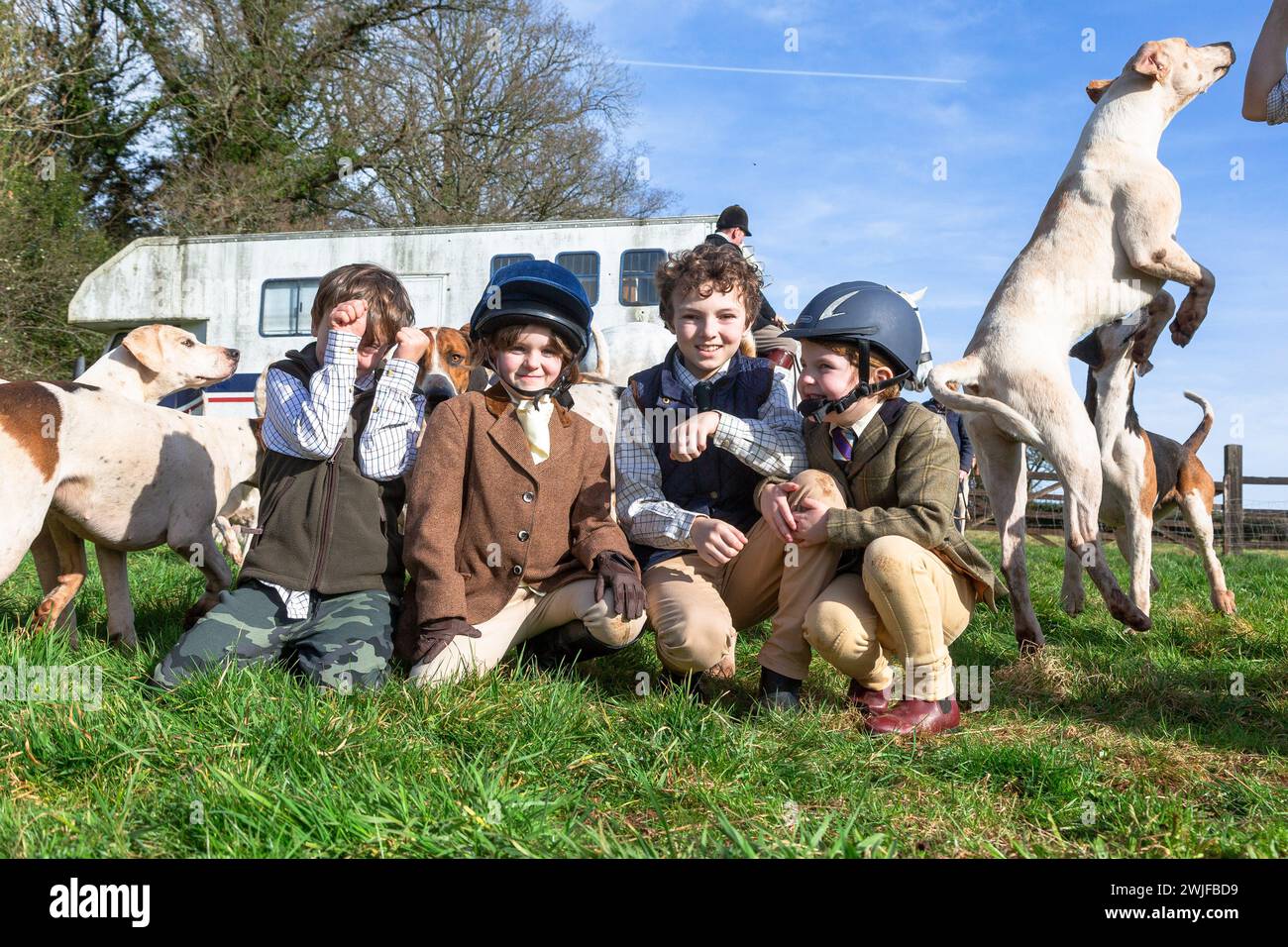 Arley, Worcestershire, UK. 15th Feb, 2024. Local children off school during half term greet the hounds in a lawn meet of the Albrighton and Woodland Hunt in Arley, Worcestershire, on an unseasonably warm day. A lawn meet normally precedes a hunt event. Credit: Peter Lopeman/Alamy Live News Stock Photo