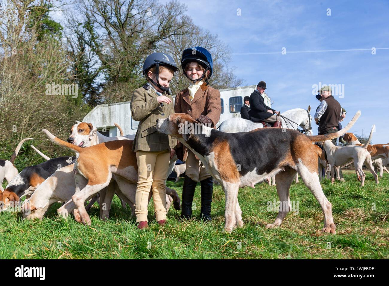 Arley, Worcestershire, UK. 15th Feb, 2024. Four year old Myla Mills and her friend Rosa who are off school during half term greet the hounds in a lawn meet of the Albrighton and Woodland Hunt in Arley, Worcestershire, on an unseasonably warm day. A lawn meet normally precedes a hunt event and takes place on private ground. Credit: Peter Lopeman/Alamy Live News Stock Photo