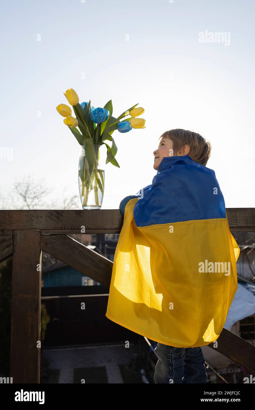 boy stands on the balcony wrapped in a Ukrainian flag admiring a bouquet of blue and yellow tulips. I'm proud to be Ukrainian. stand with Ukraine. Ref Stock Photo