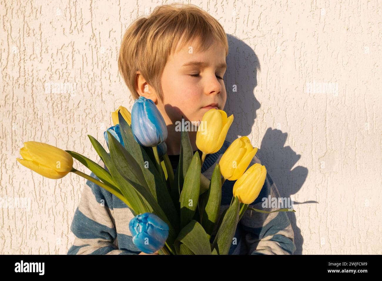sad boy with bouquet of yellow-blue tulips on light background on a sunny day. Children are against war. A Ukrainian child dreams of peace for his hom Stock Photo