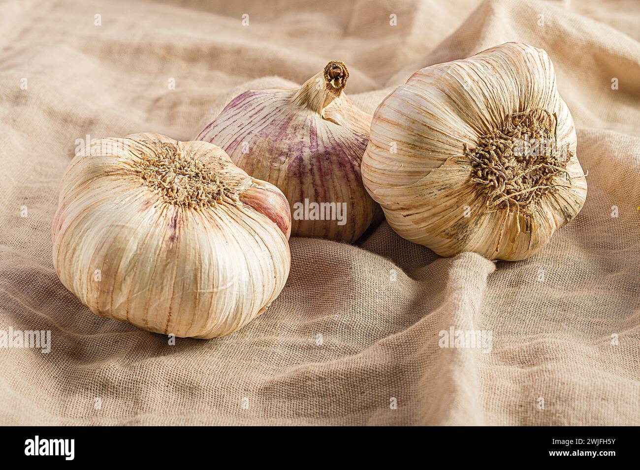 Three garlic cloves on a beige textile background Stock Photo - Alamy