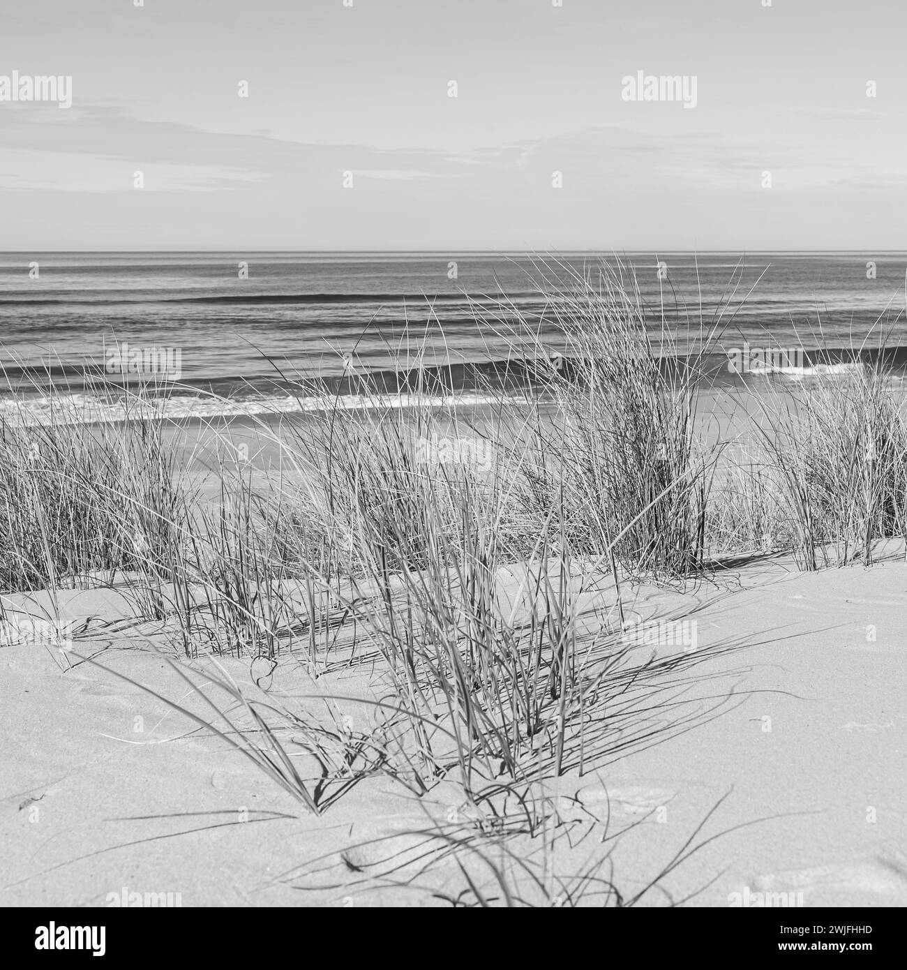 Vast beach sand Black and White Stock Photos & Images - Alamy