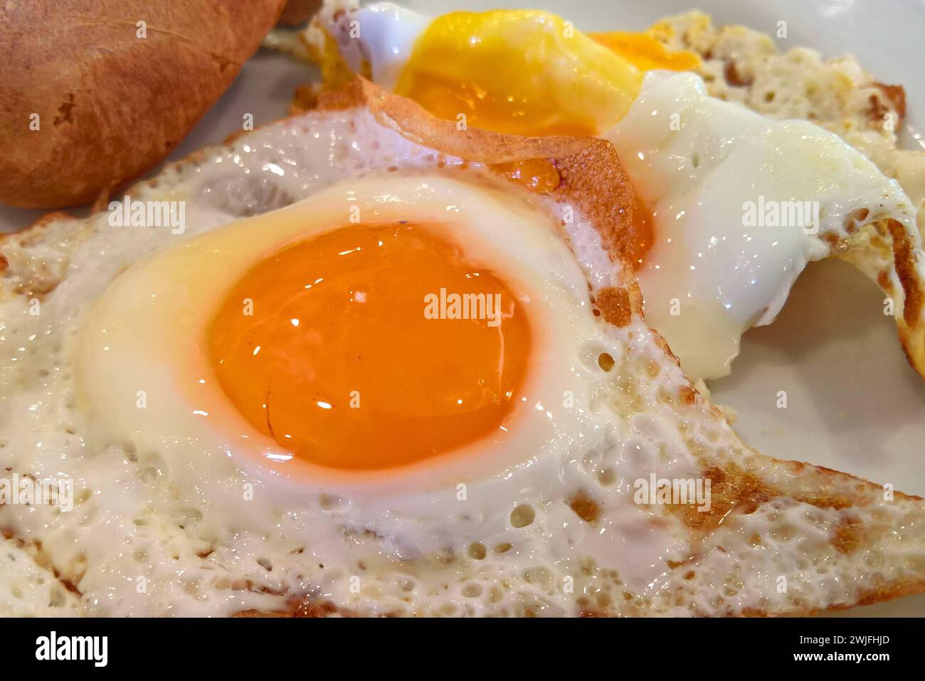 Ei bzw Eier. Foto: Spiegelei, Spiegeleier *** Egg or eggs photo fried egg, fried eggs Stock Photo