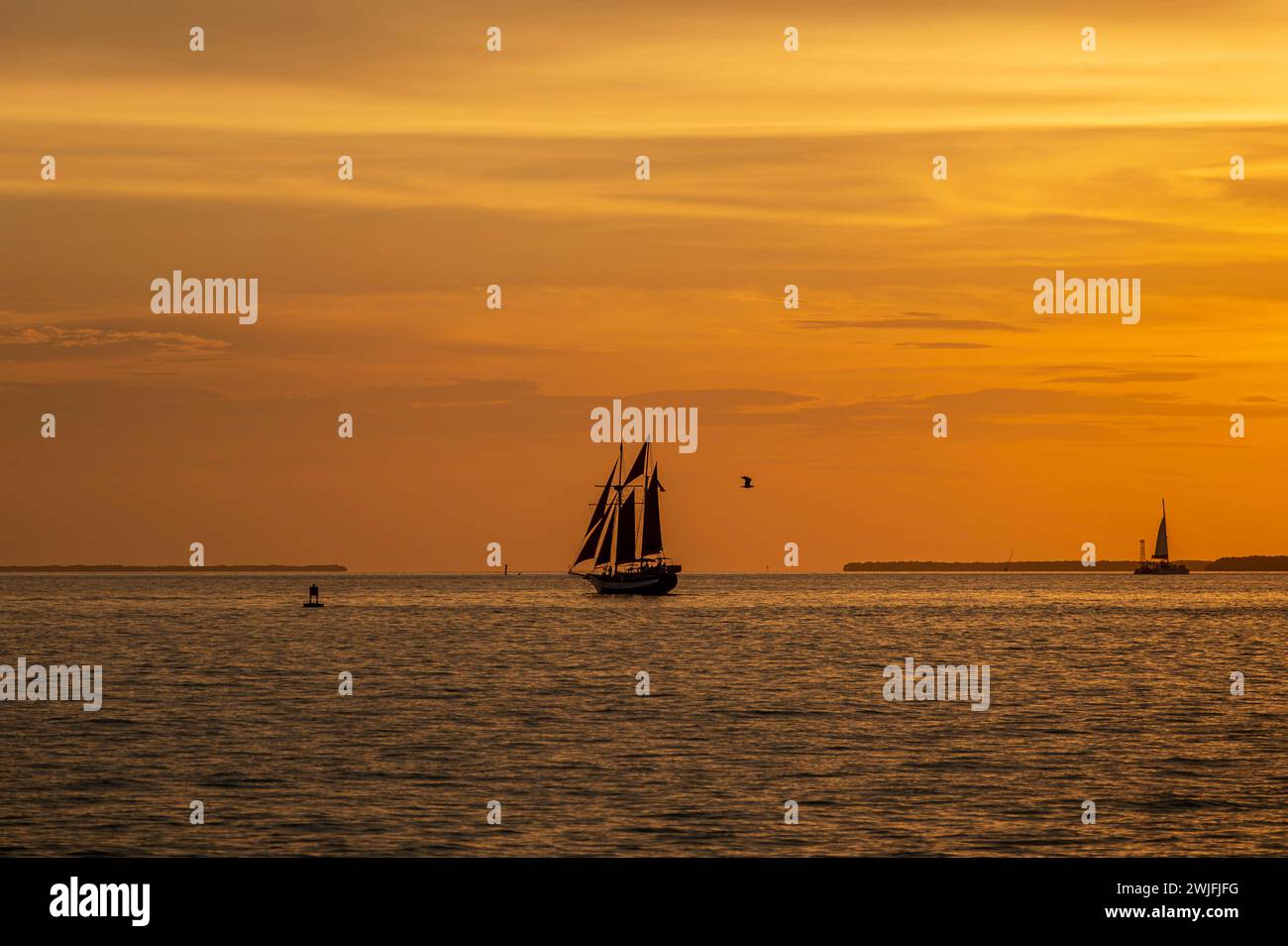 A spectacular sunset, off the coast of Key West, Florida, with sailing boats silhoutted against the orange sky Stock Photo