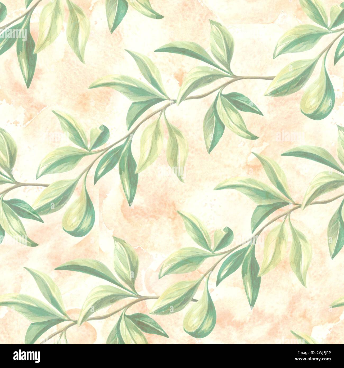 Seamless pattern with green leaves of oranges tree. Hand drawn watercolor botanical illustration of citrus branches. Background template with plants f Stock Photo