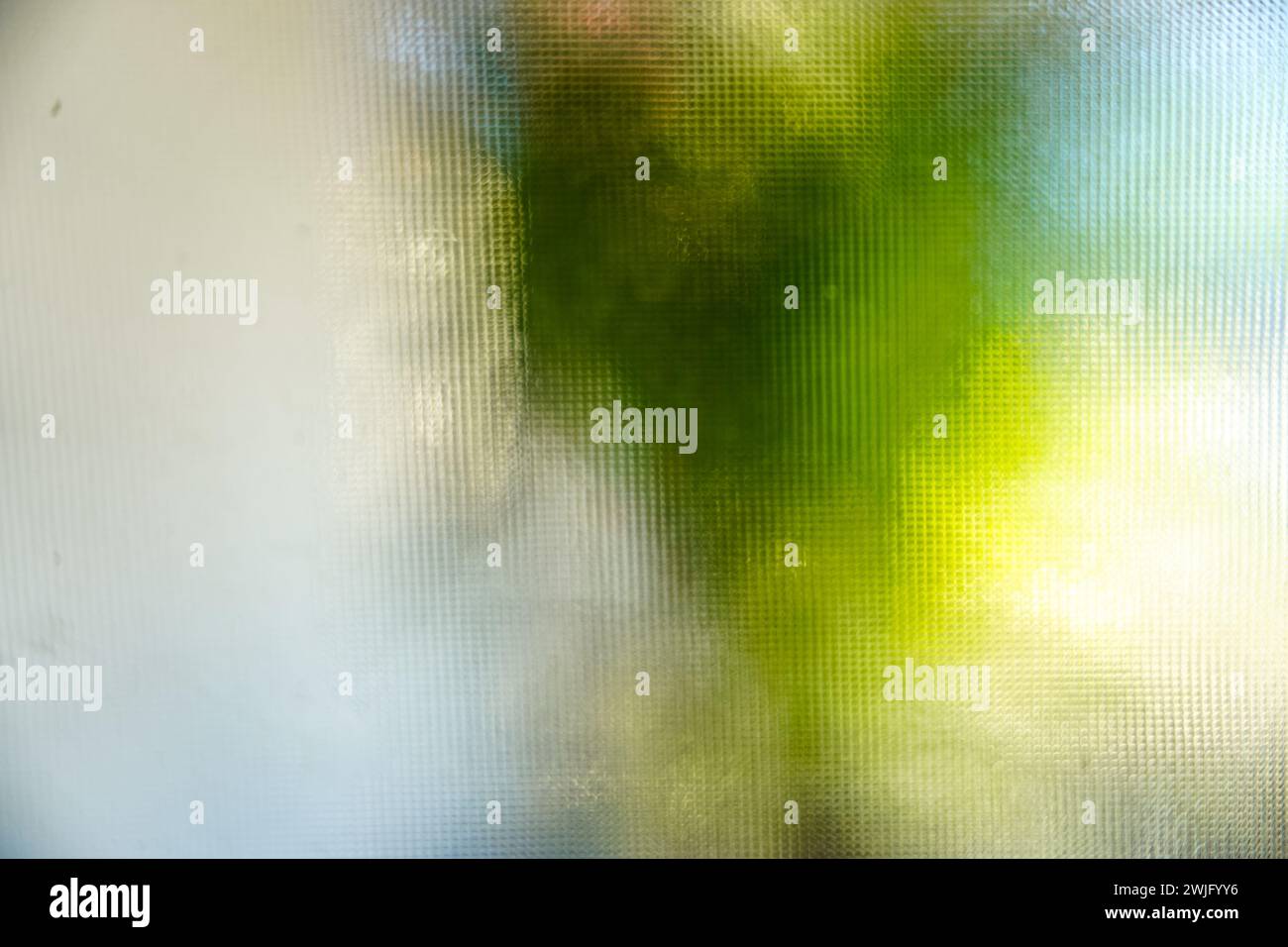 a blurred background of lush green plants seen through frosted glass