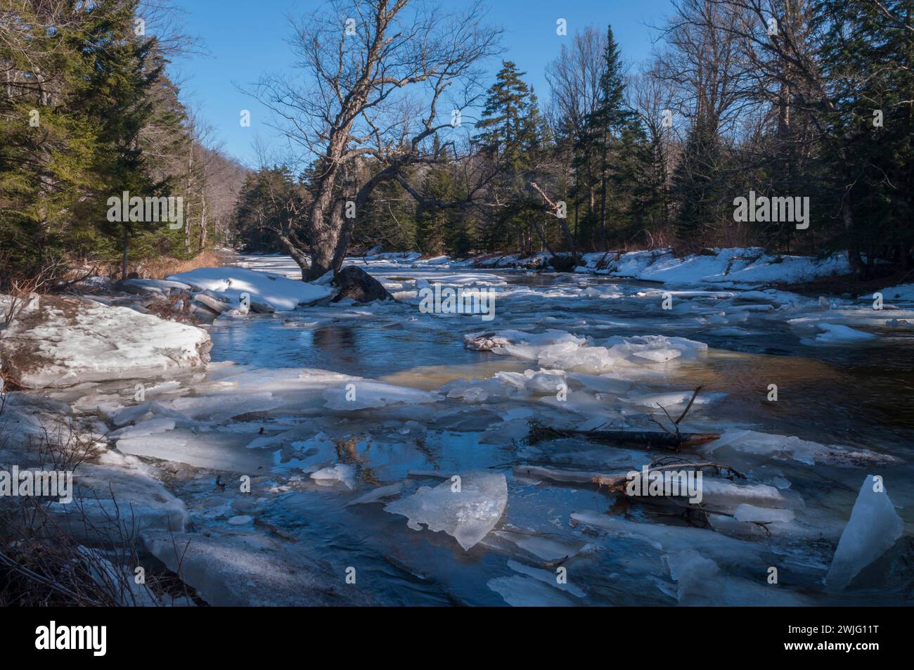 Chunks of ice during ice out on the East Branch Of The Sacandaga River in the in the Adirondack Mountains Of New York State Stock Photo