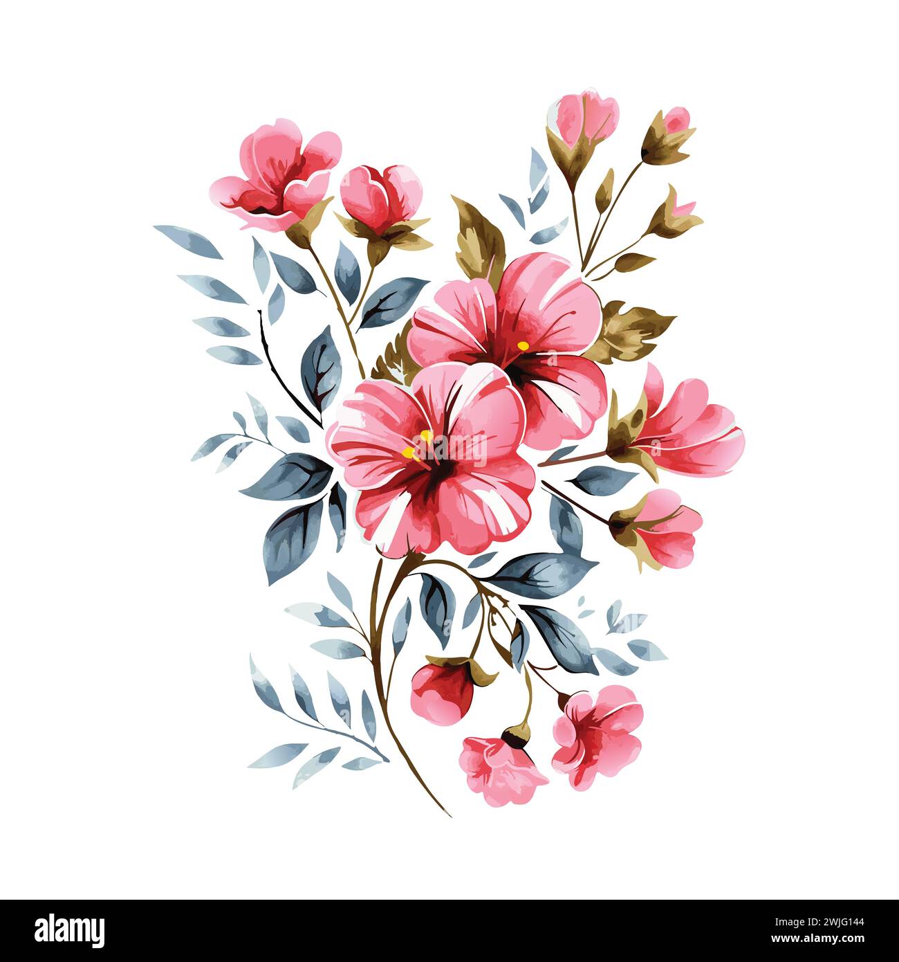 Spring colorful hyacinth flowers Stock Vector Images - Alamy