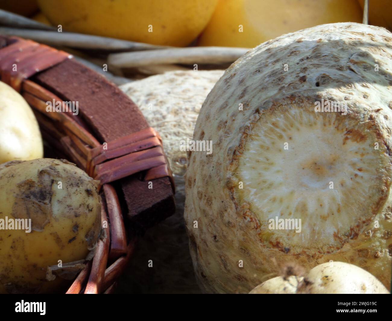 Celeriac and potatoes at the market in Dieppe in northern France Stock Photo