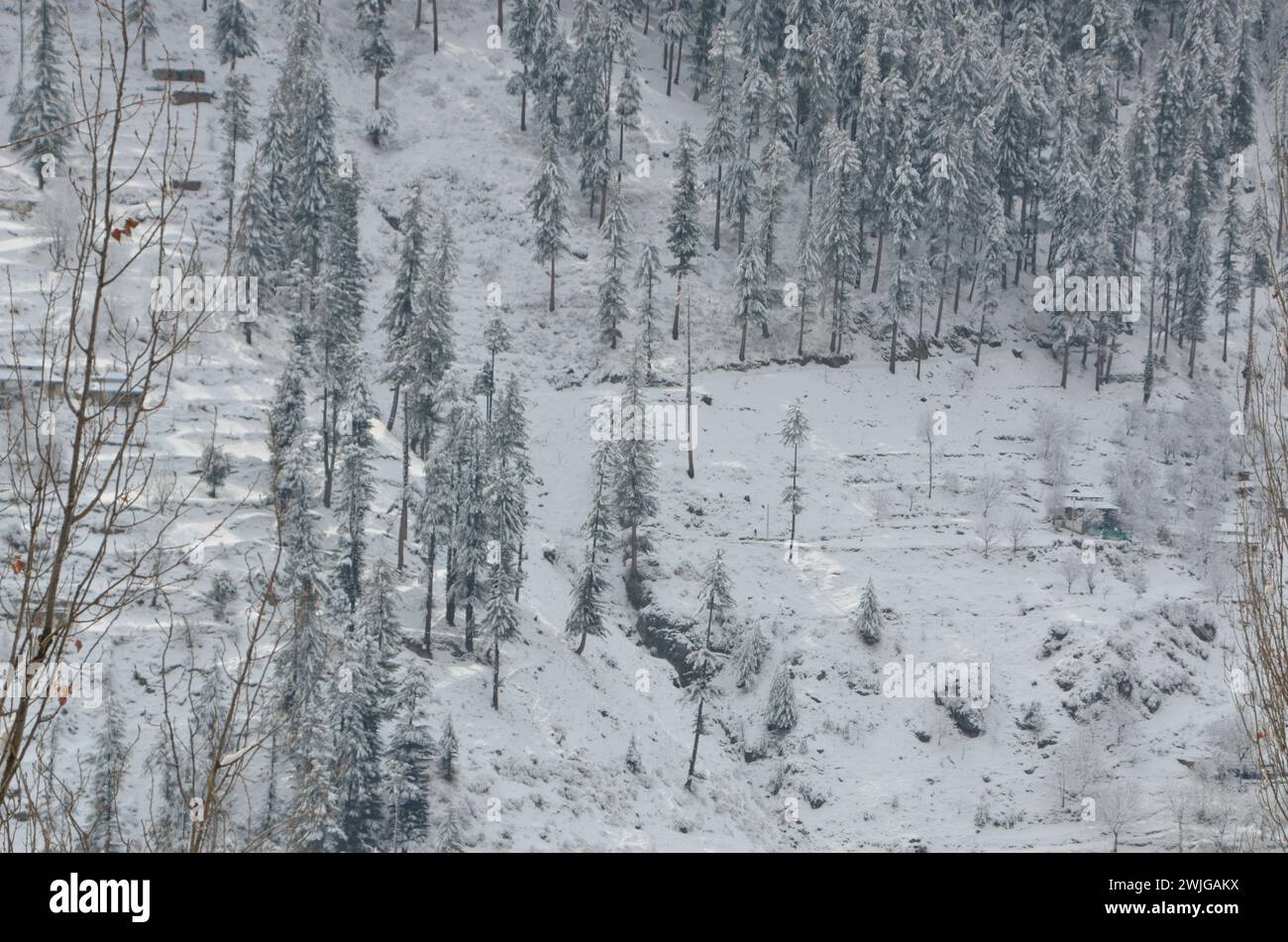 Snowfall in Kaghan Naran Feb-2024 Stock Photo - Alamy