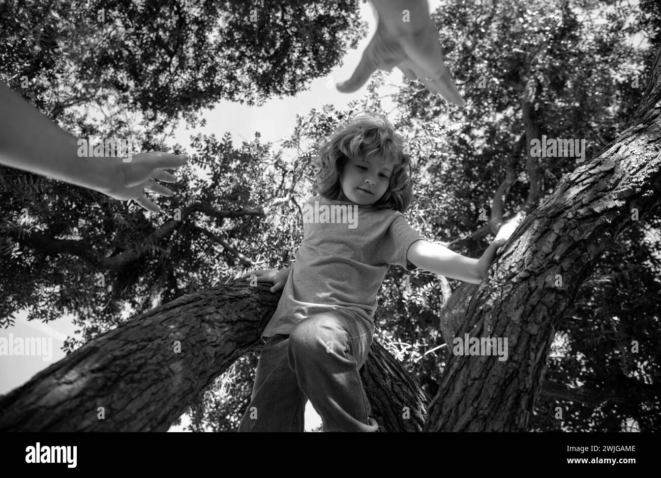 Fathers hand. Father parent boy climb branches of tree. Stock Photo