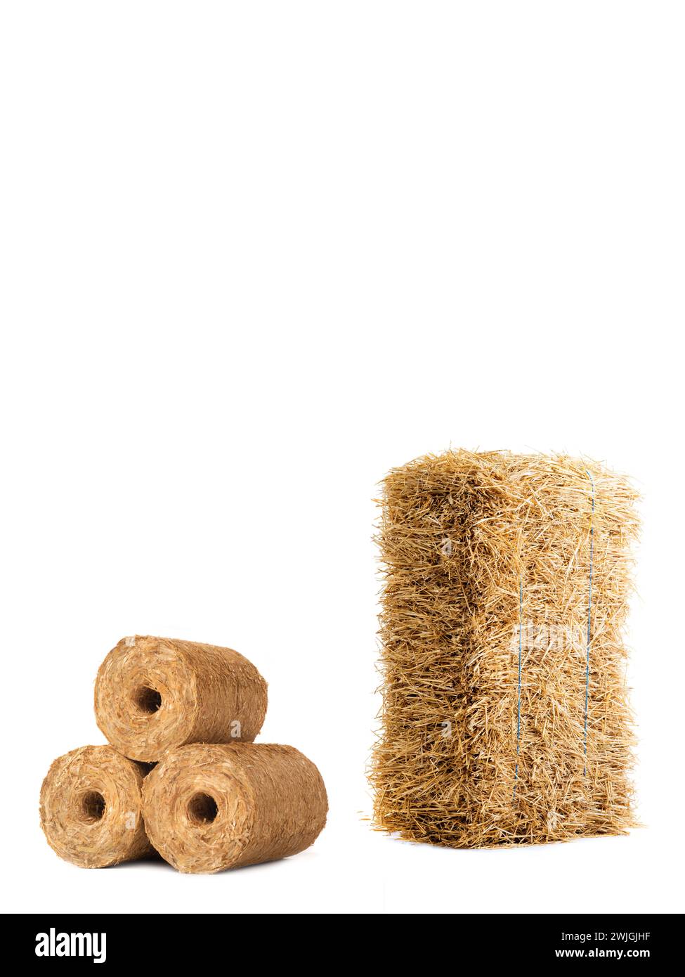 fuel briquettes of straw  isolated on a white background Stock Photo