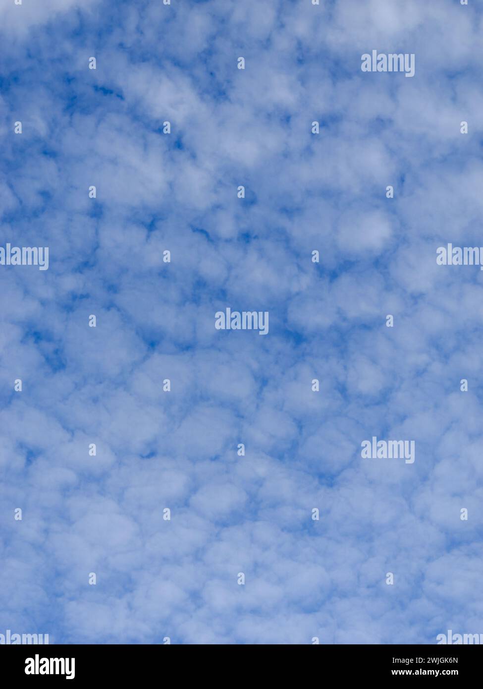 blue sky with many white clouds Stock Photo