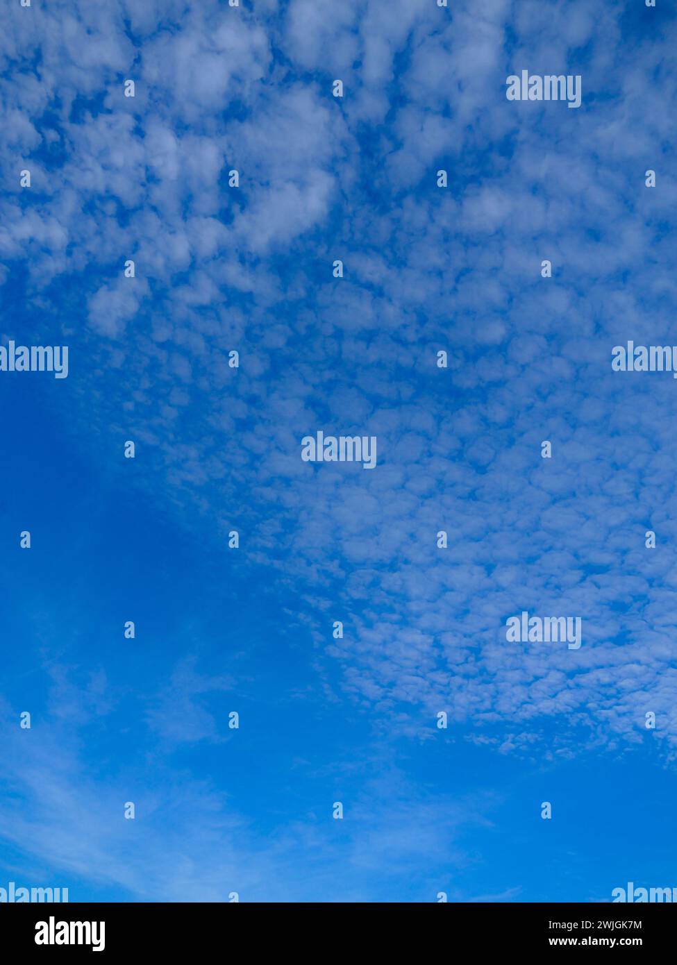 fleecy clouds in the blue sky Stock Photo