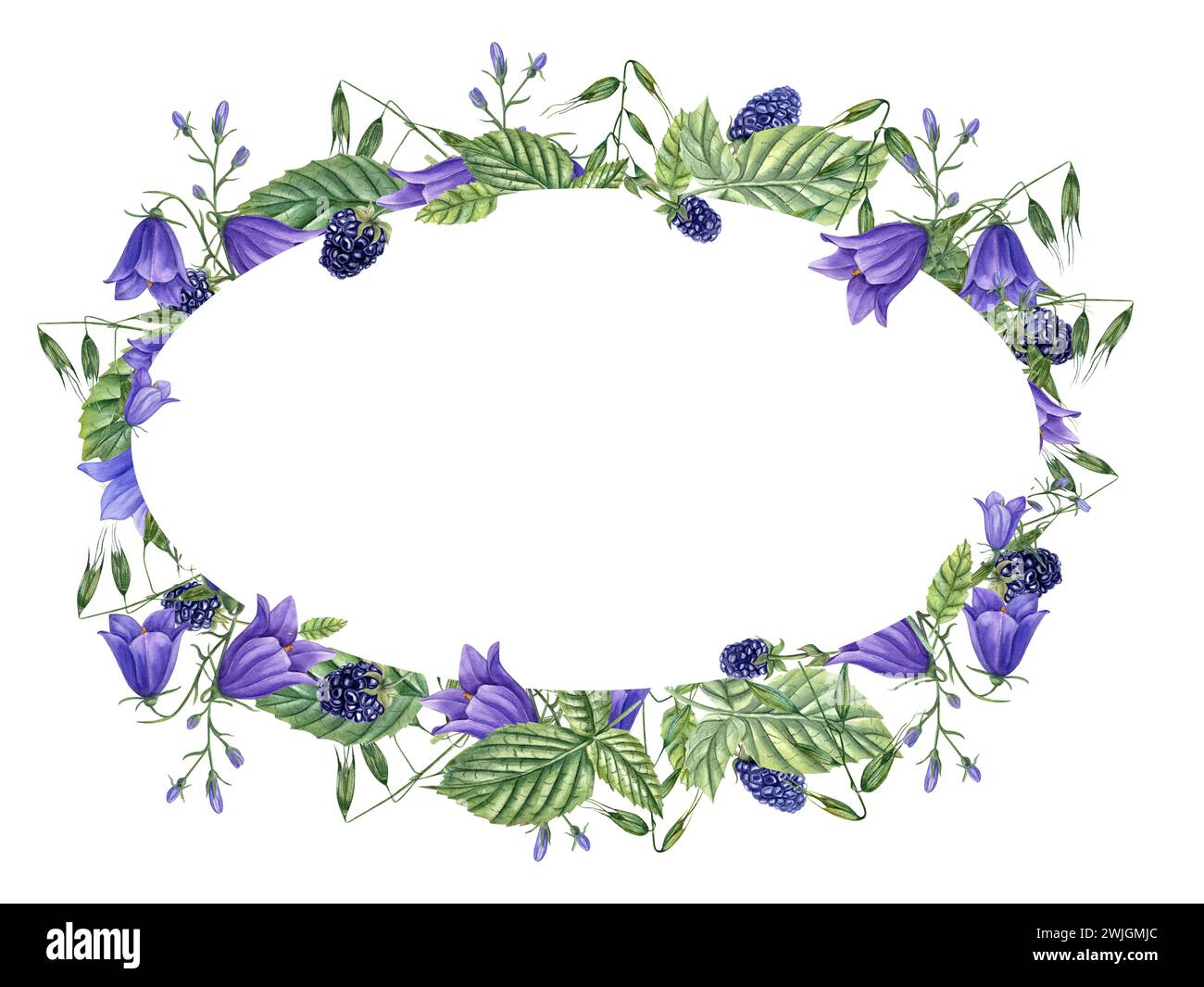Frame with ripe aromatic Blackberries, meadow Herbs and Flowers. Berries, campanula, avena. Dewberry, bramble. Watercolor illustration for template Stock Photo