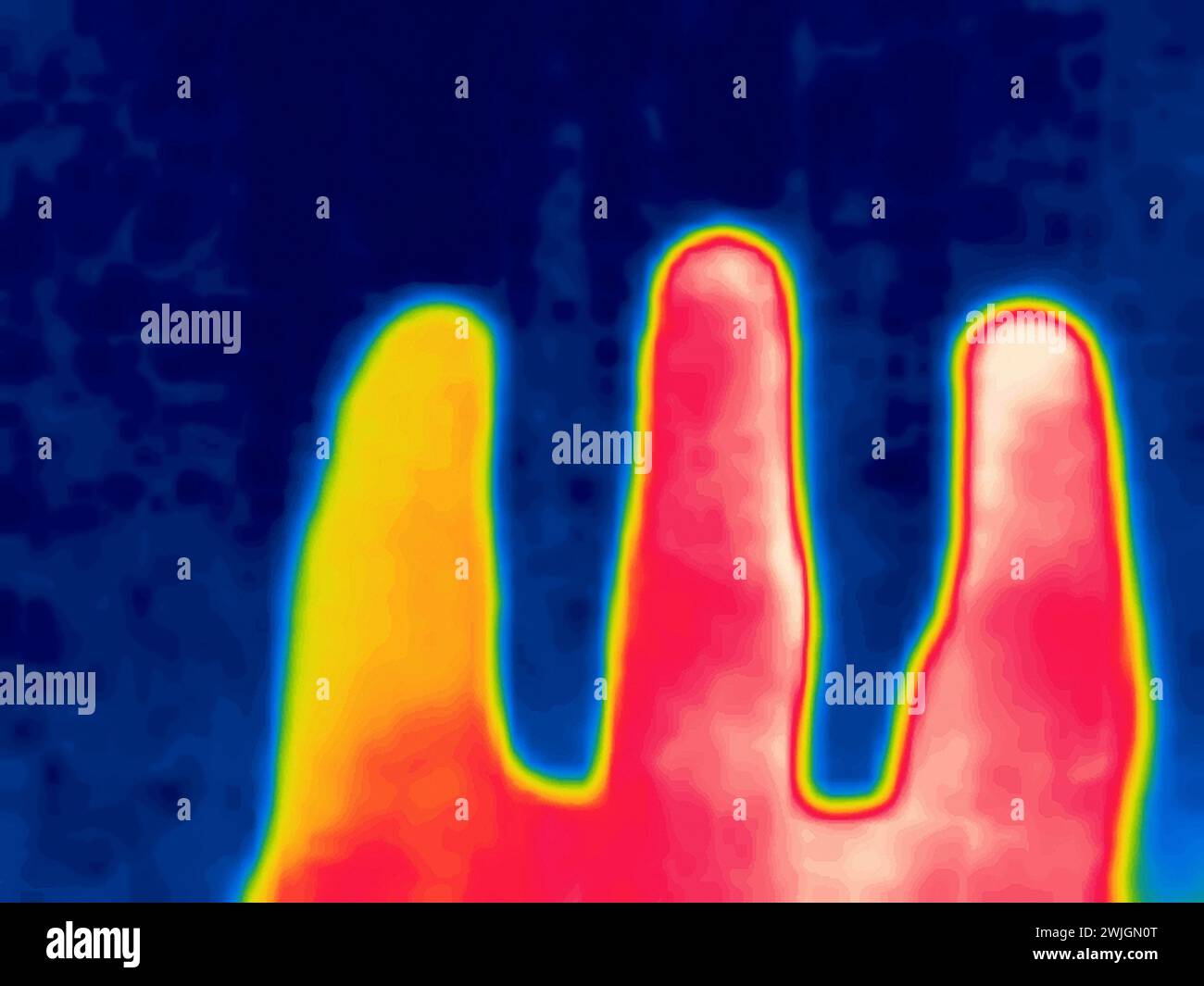Hand gestures captured on thermal imager device. Warm hands of an ordinary person. Hand is like