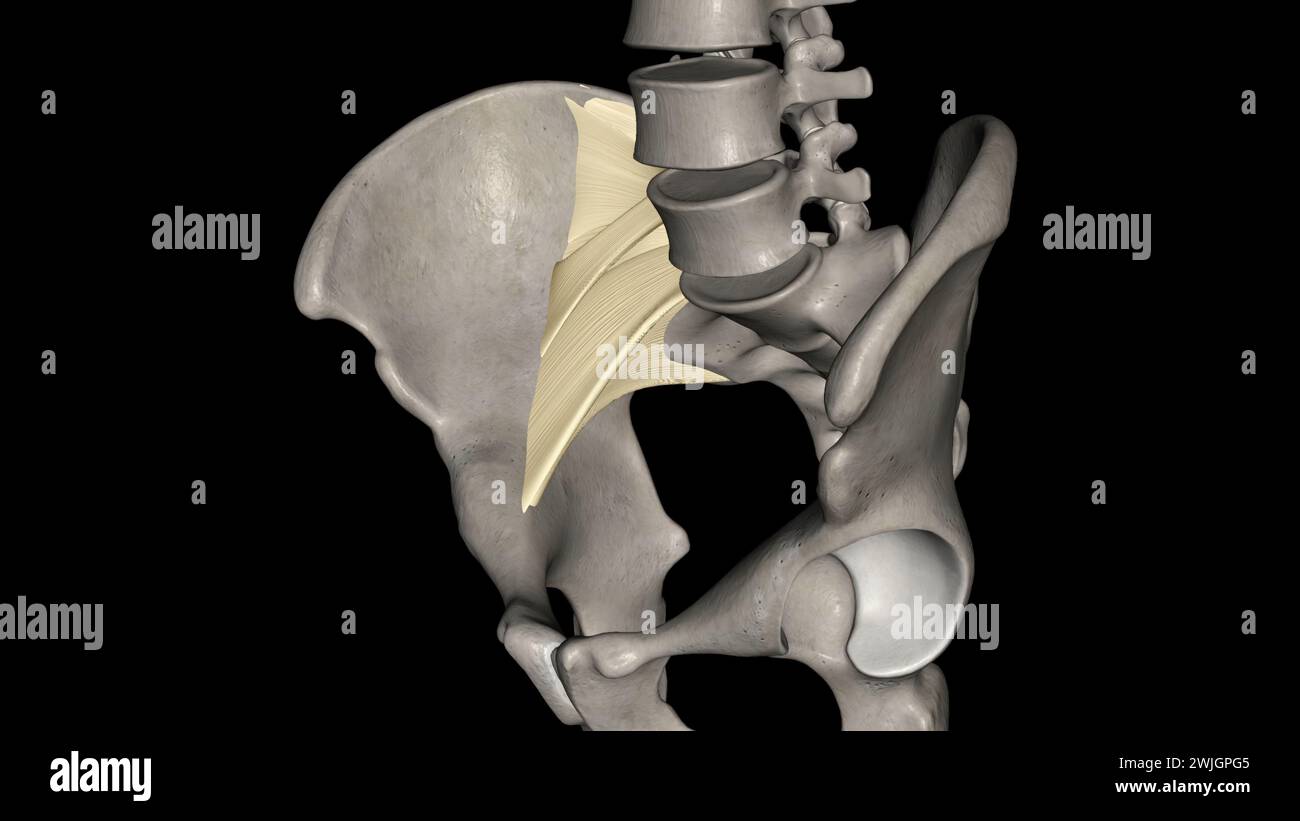Longitudinal ribs hi-res stock photography and images - Alamy