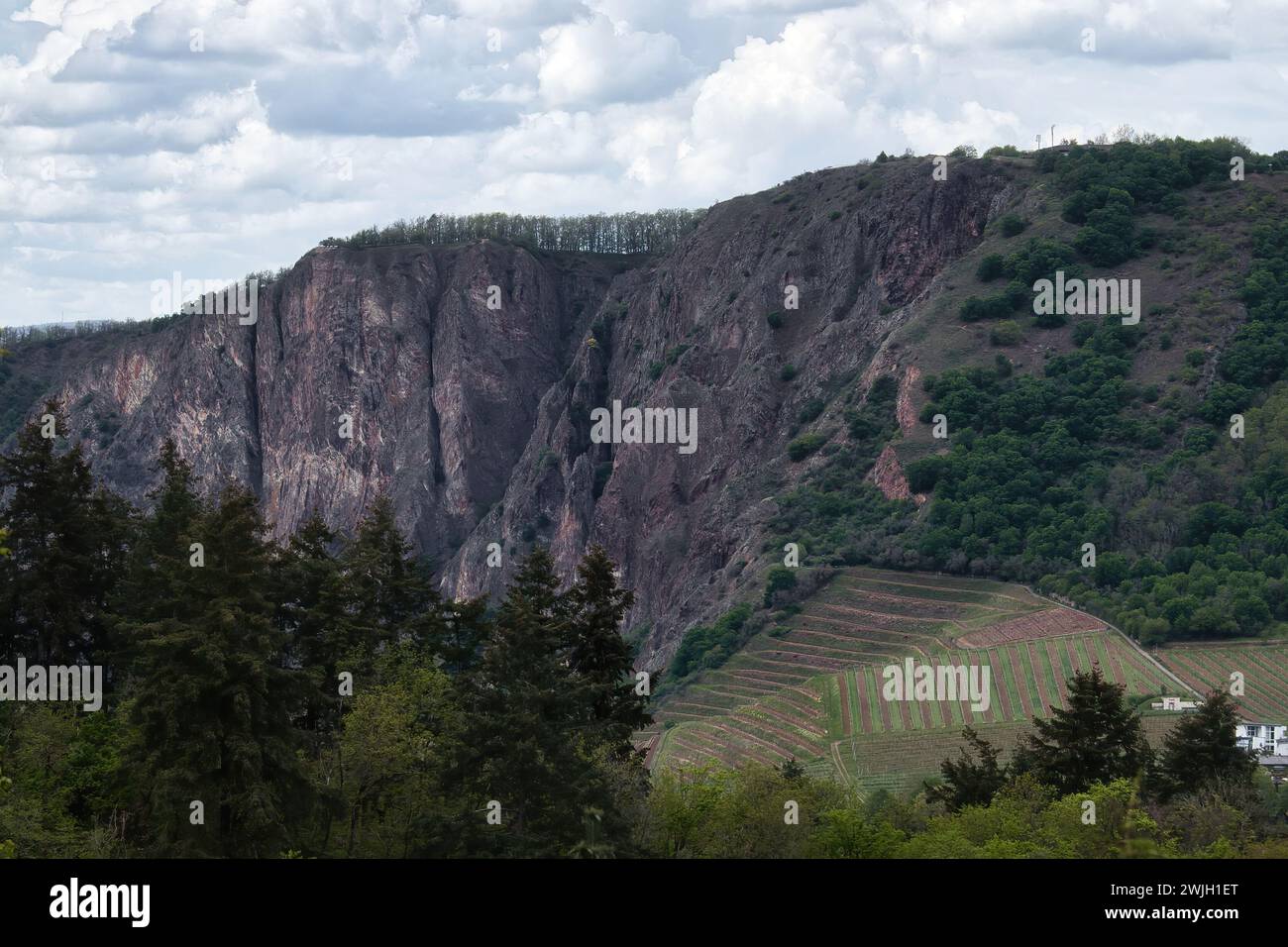 Rotenfels cliff above  a vineyard on a hill on a cloudy spring day in Rhineland Palatinate, Germany. Stock Photo