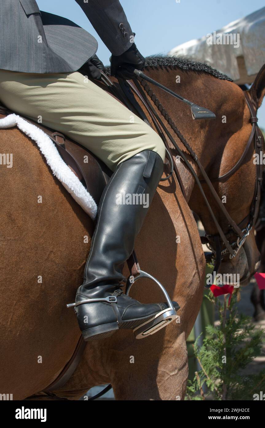 hunter jumper apparel beige breeches tall black riding boots grey hunter jacket close up of horse riding dress horse show attire rider carrying crop Stock Photo