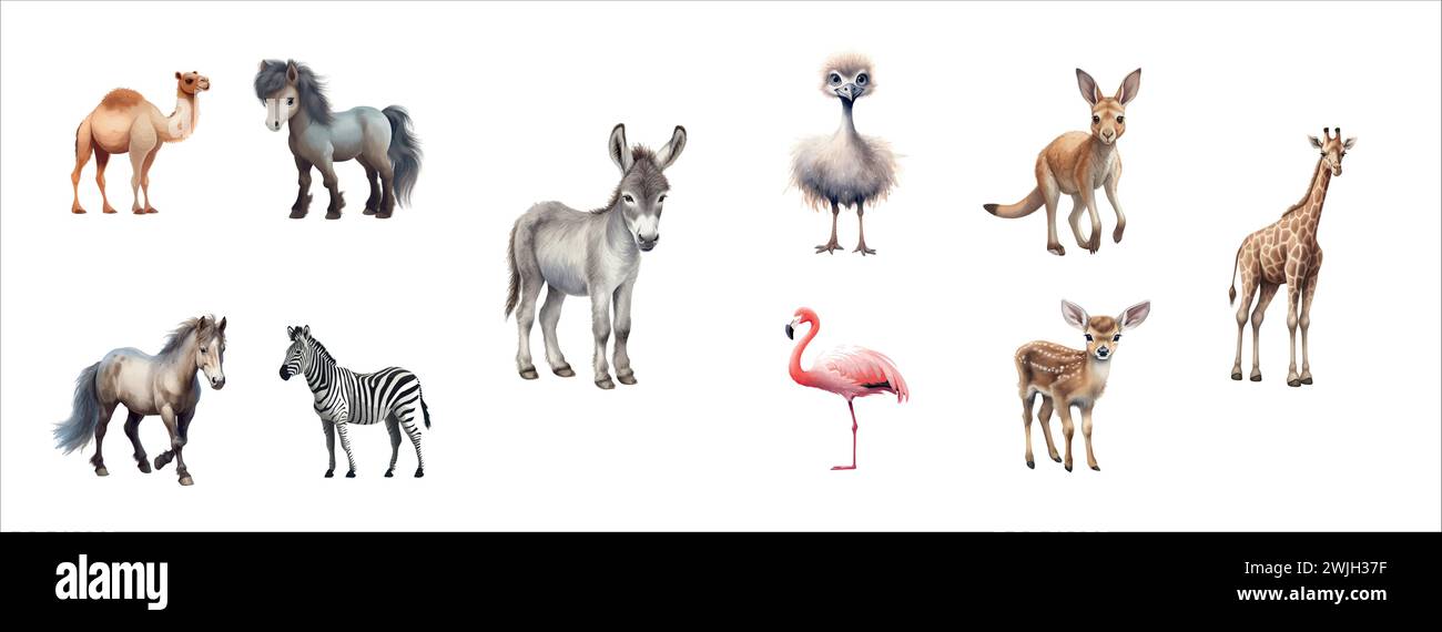 Vector Illustration Set of Various Wild Animals Camel, Horse, Donkey