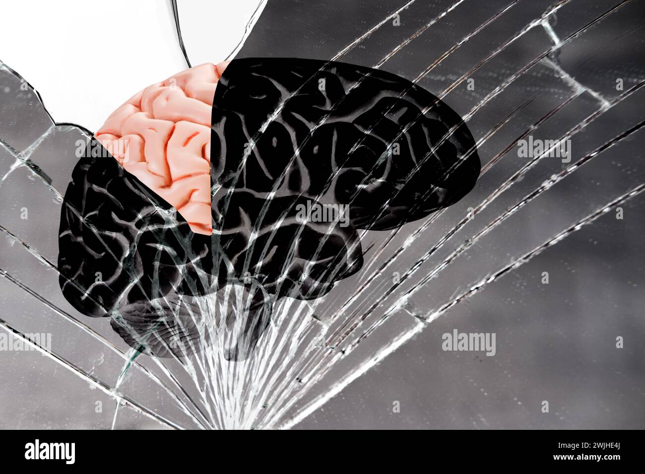 human brain on cracks texture broken mirror, glass background, neuroscience research aimed understanding mechanisms underlying brain function, includi Stock Photo
