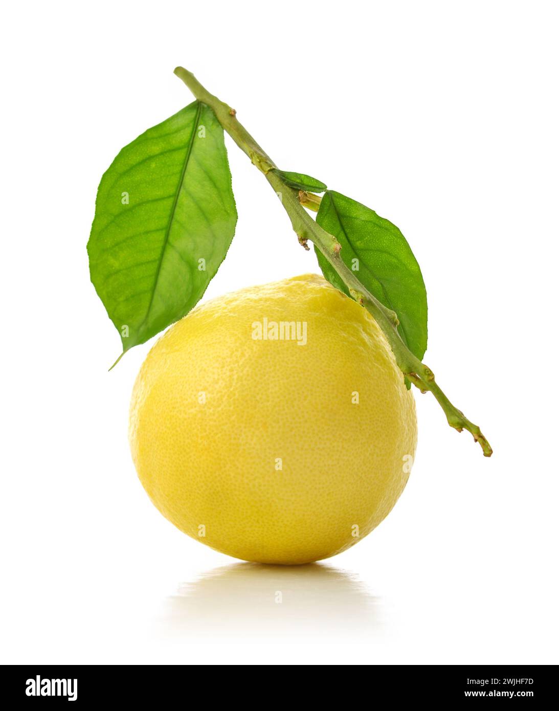 Fresh ripe bergamot orange fruit with  leaves isolated on white background Stock Photo